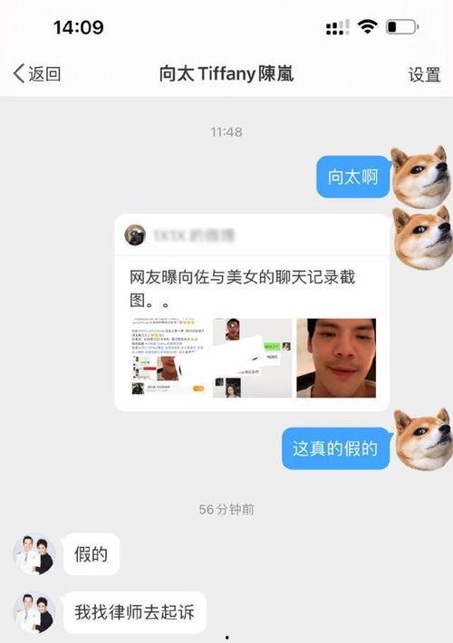 向佐出轨爆料者视频合集,事件全解析 第3张 向佐出轨爆料者视频合集,事件全解析 第3张