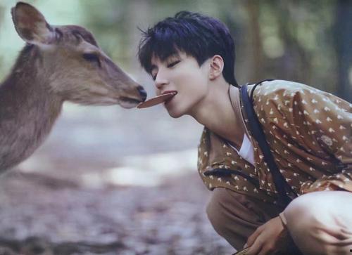 圈内人天涯爆料王俊凯,揭秘明星背后的真实故事  第2张